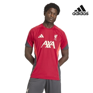 ��ǰ ������