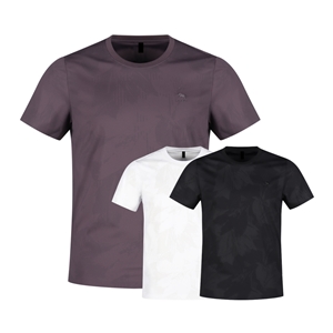 ��ǰ ������